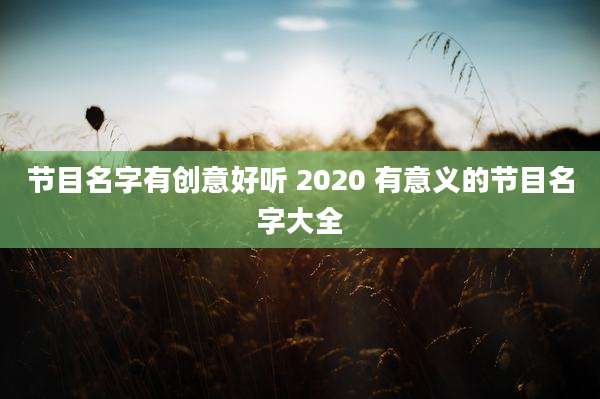 节目名字有创意好听 2020 有意义的节目名字大全