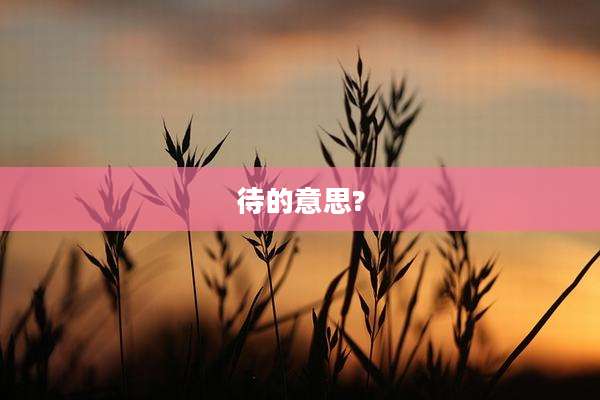 待的意思?