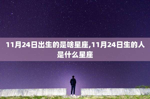11月24日出生的是啥星座,11月24日生的人是什么星座