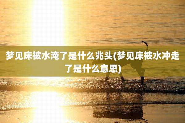 梦见床被水淹了是什么兆头(梦见床被水冲走了是什么意思)