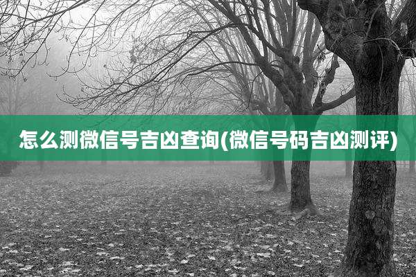 怎么测微信号吉凶查询(微信号码吉凶测评)