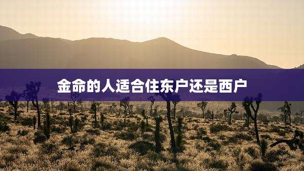 金命的人适合住东户还是西户