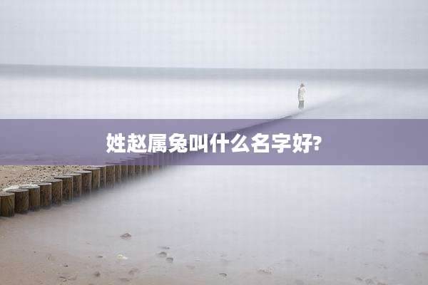 姓赵属兔叫什么名字好?