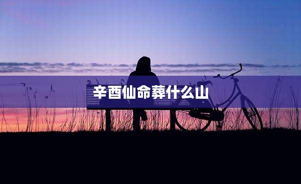 辛酉仙命葬什么山