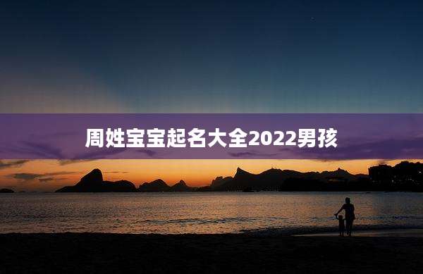 周姓宝宝起名大全2022男孩