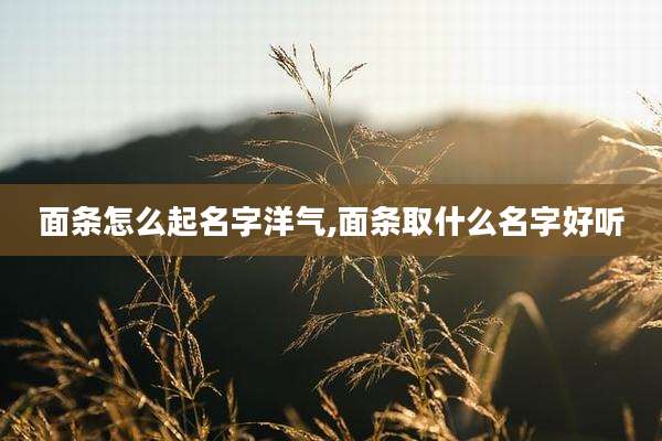 面条怎么起名字洋气,面条取什么名字好听