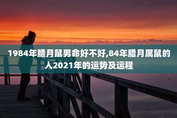 1984年腊月鼠男命好不好,84年腊月属鼠的人2021年的运势及运程