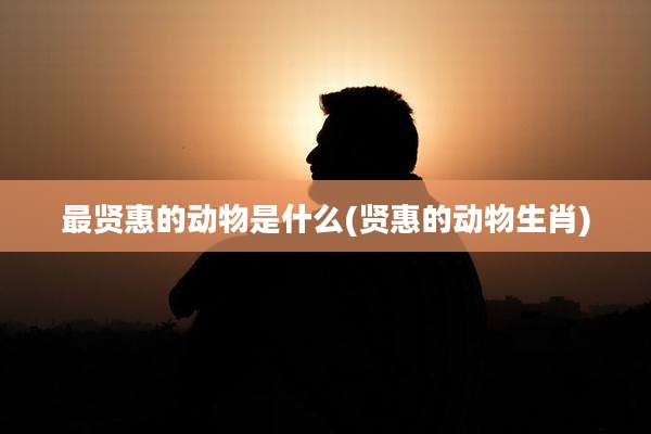 最贤惠的动物是什么(贤惠的动物生肖)