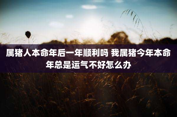 属猪人本命年后一年顺利吗 我属猪今年本命年总是运气不好怎么办