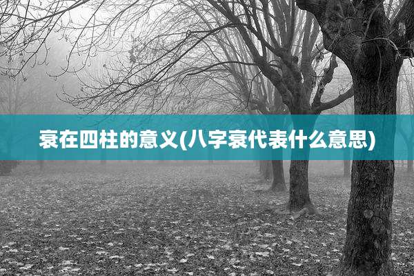 衰在四柱的意义(八字衰代表什么意思)