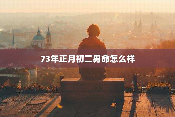 73年正月初二男命怎么样
