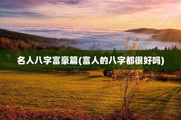 名人八字富豪篇(富人的八字都很好吗)