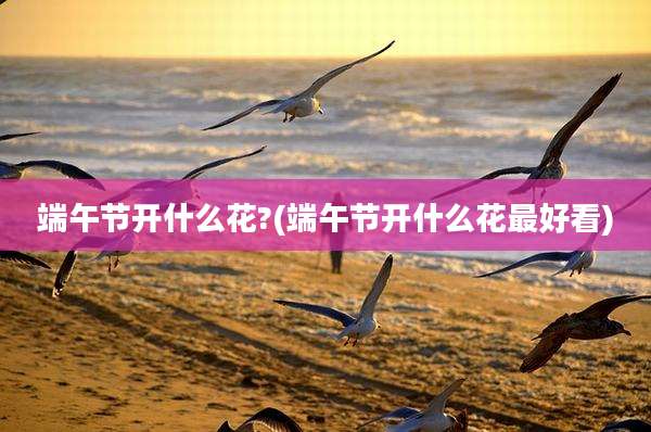 端午节开什么花?(端午节开什么花最好看)