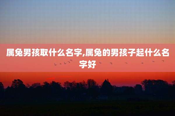 属兔男孩取什么名字,属兔的男孩子起什么名字好