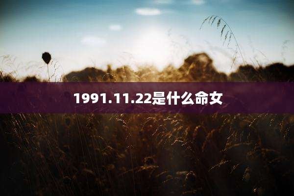 1991.11.22是什么命女