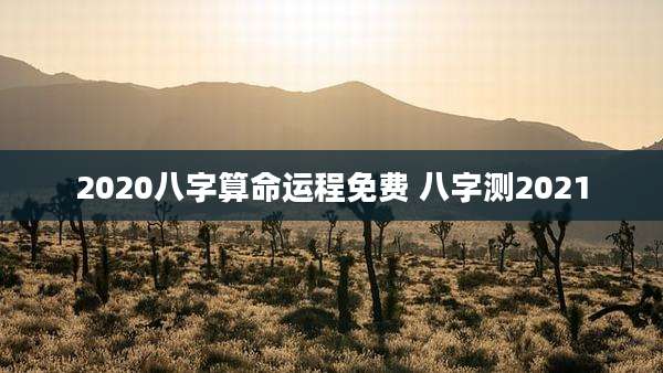2020八字算命运程免费 八字测2021