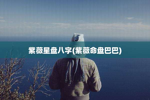 紫薇星盘八字(紫薇命盘巴巴)