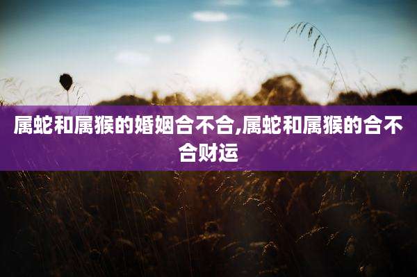 属蛇和属猴的婚姻合不合,属蛇和属猴的合不合财运