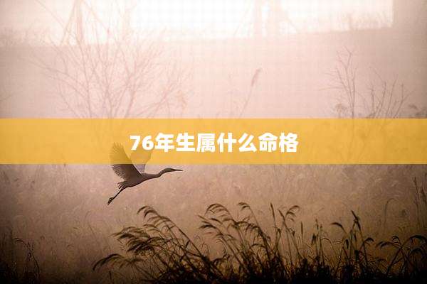 76年生属什么命格