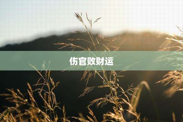 伤官败财运