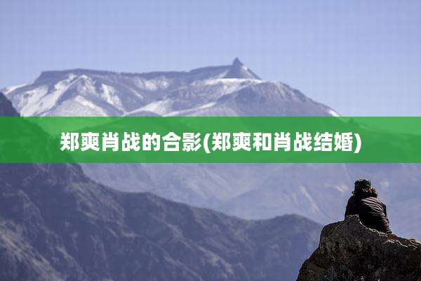 郑爽肖战的合影(郑爽和肖战结婚)