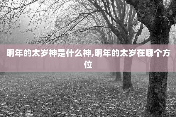 明年的太岁神是什么神,明年的太岁在哪个方位