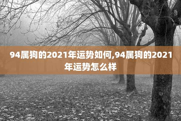 94属狗的2021年运势如何,94属狗的2021年运势怎么样