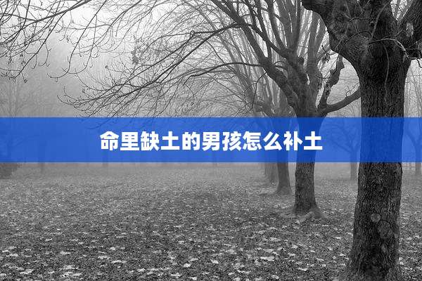 命里缺土的男孩怎么补土