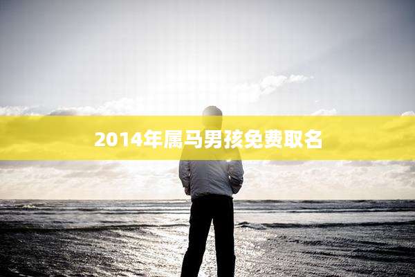 2014年属马男孩免费取名