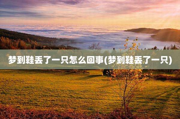 梦到鞋丢了一只怎么回事(梦到鞋丢了一只)