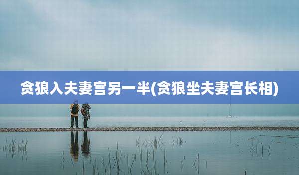 贪狼入夫妻宫另一半(贪狼坐夫妻宫长相)