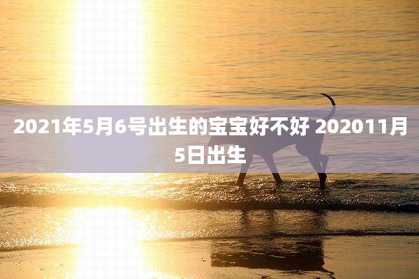 2021年5月6号出生的宝宝好不好 202011月5日出生