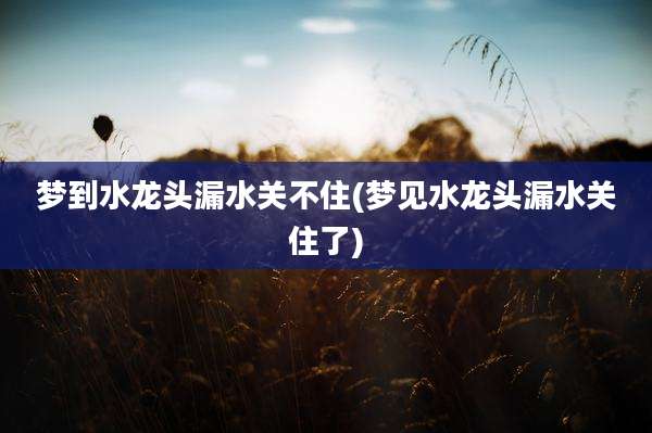 梦到水龙头漏水关不住(梦见水龙头漏水关住了)