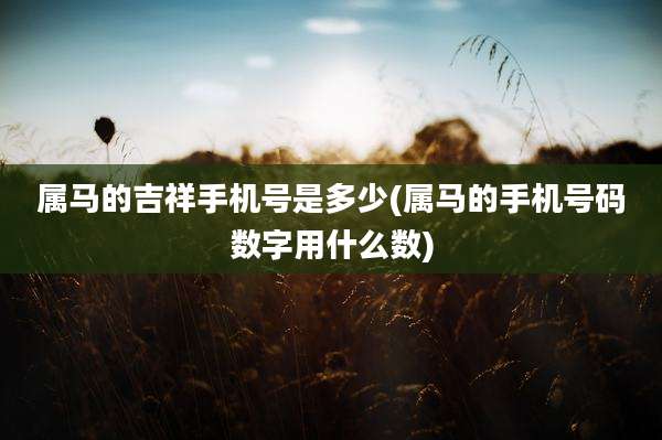 属马的吉祥手机号是多少(属马的手机号码数字用什么数)
