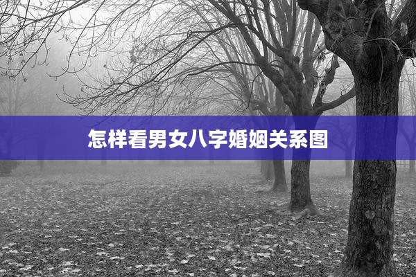 怎样看男女八字婚姻关系图