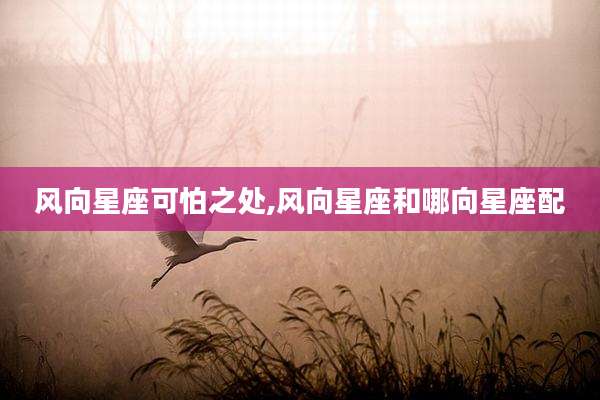 风向星座可怕之处,风向星座和哪向星座配