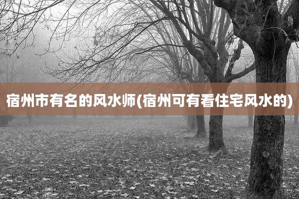 宿州市有名的风水师(宿州可有看住宅风水的)