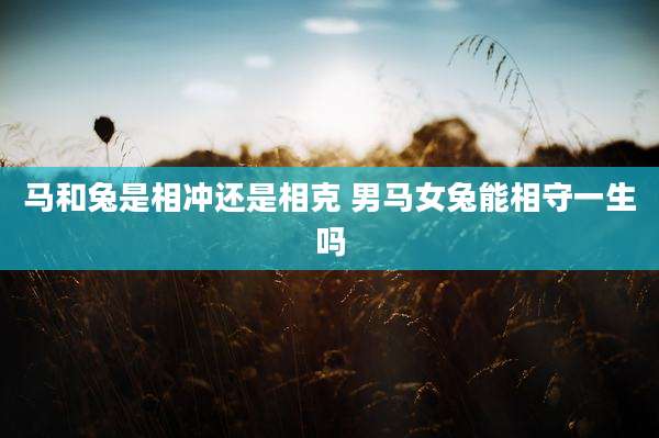 马和兔是相冲还是相克 男马女兔能相守一生吗