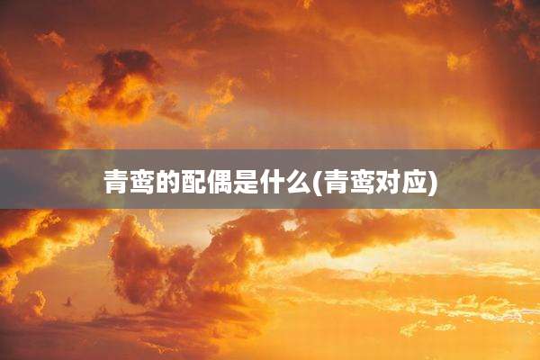 青鸾的配偶是什么(青鸾对应)