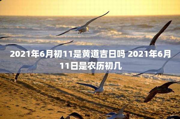 2021年6月初11是黄道吉日吗 2021年6月11日是农历初几