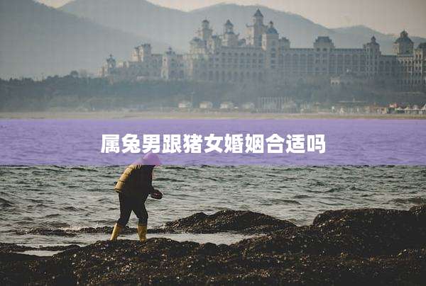 属兔男跟猪女婚姻合适吗