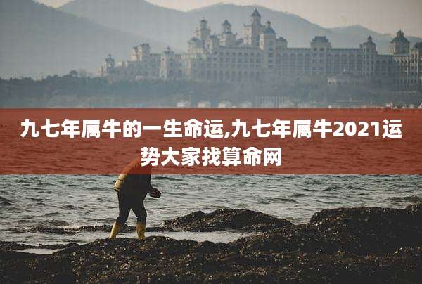 九七年属牛的一生命运,九七年属牛2021运势大家找算命网