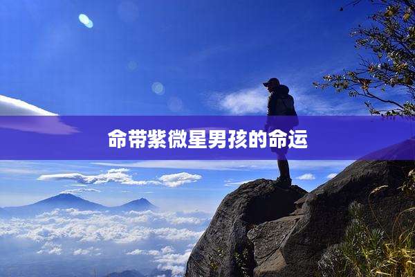 命带紫微星男孩的命运