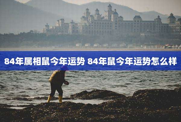 84年属相鼠今年运势 84年鼠今年运势怎么样