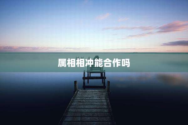属相相冲能合作吗