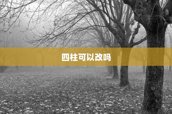 四柱可以改吗