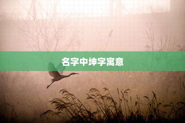 名字中坤字寓意