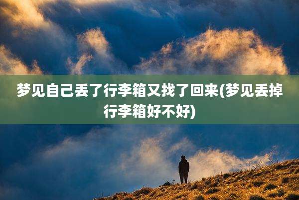 梦见自己丢了行李箱又找了回来(梦见丢掉行李箱好不好)
