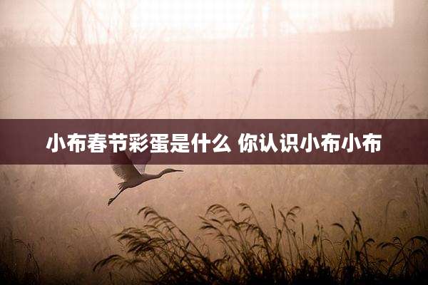 小布春节彩蛋是什么 你认识小布小布