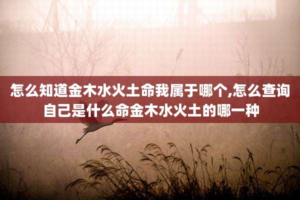 怎么知道金木水火土命我属于哪个,怎么查询自己是什么命金木水火土的哪一种